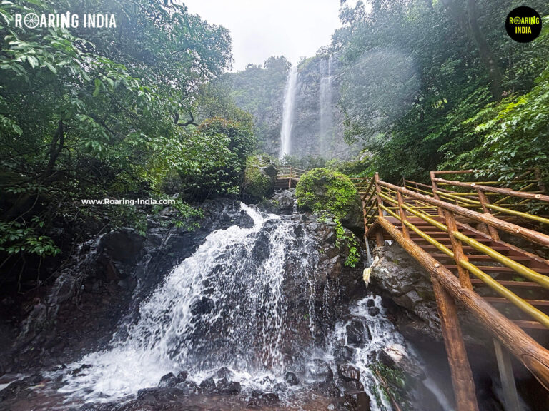 Amboli Waterfalls NO-3 / Amboli Maya Waterfalls