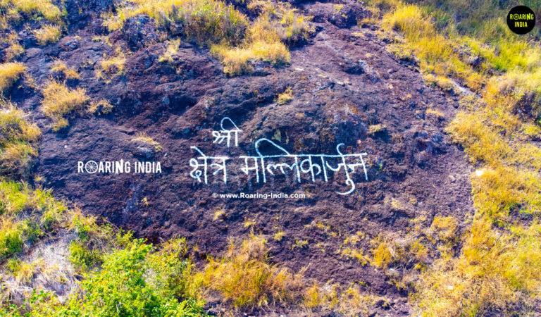 Artwork of Shri Kshetra Mallikarjun