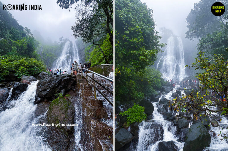 Amboli Waterfalls