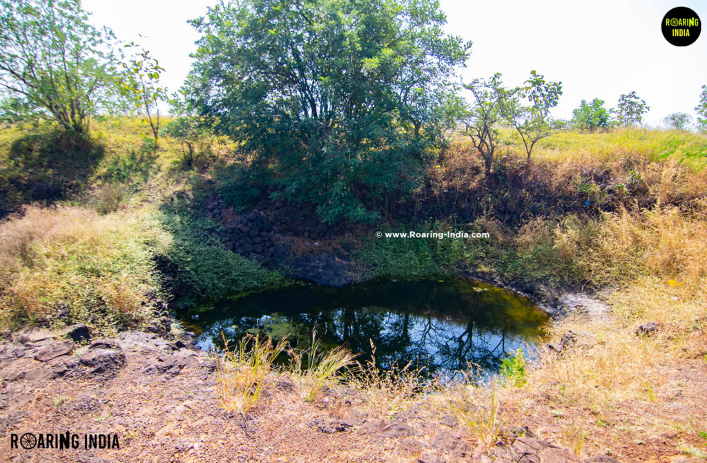 Horse Pond - Old Well Vilasgad Fort