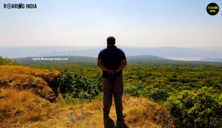 Satishkumar at Zolambi Sada