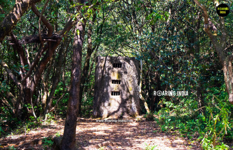 Laphan Ghar (Hide Room) Chandoli Forest Safari