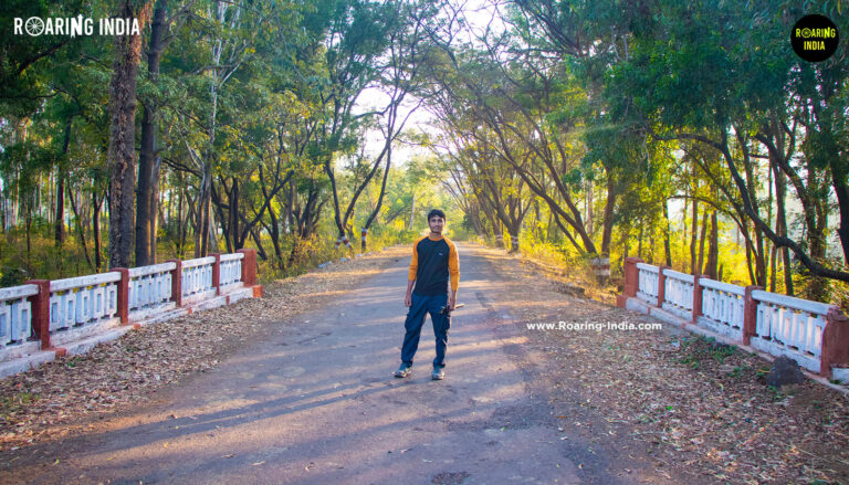 Shrikant at Ukhalu Waterfalls Road at Chandoli National Park