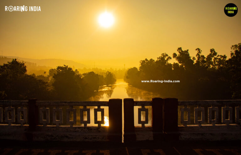 Warana River Bridge Chandoli National Park