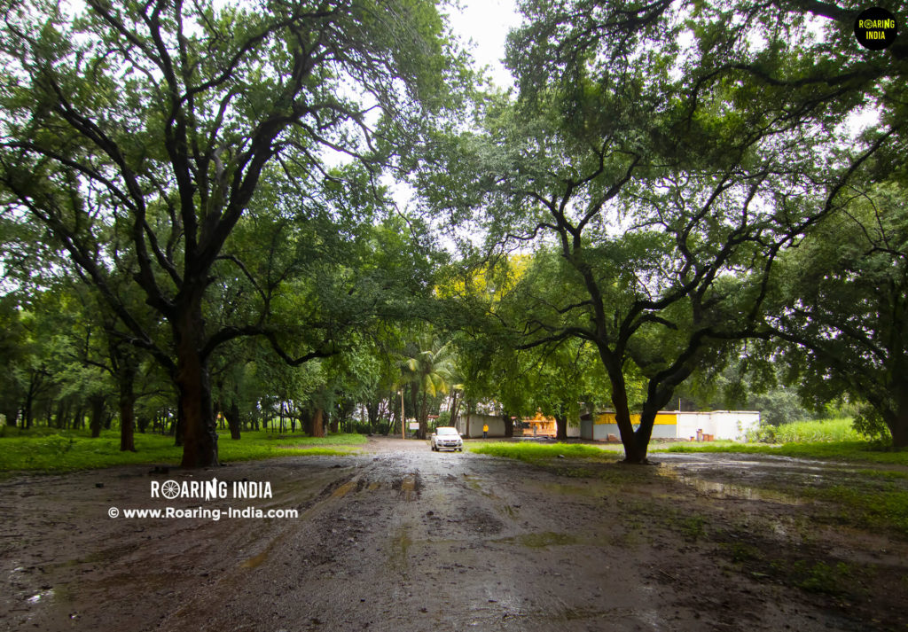 Saptasagar Bana Inside View