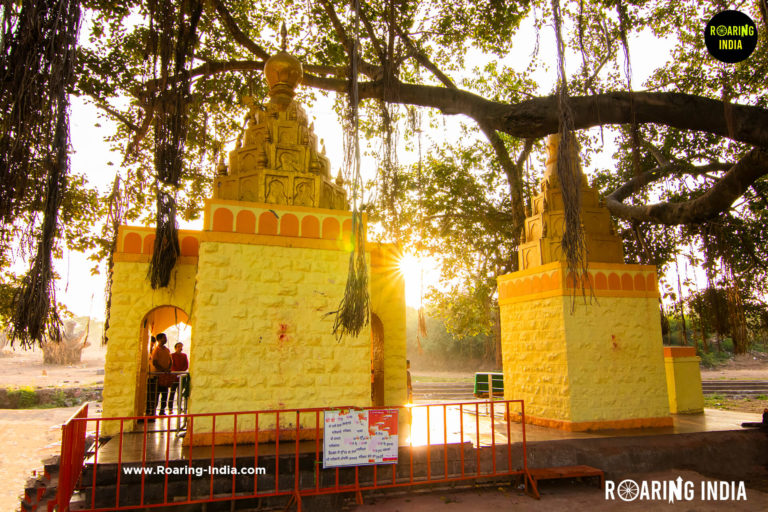 Backview of Jath Yallamma Devi Temple Jath
