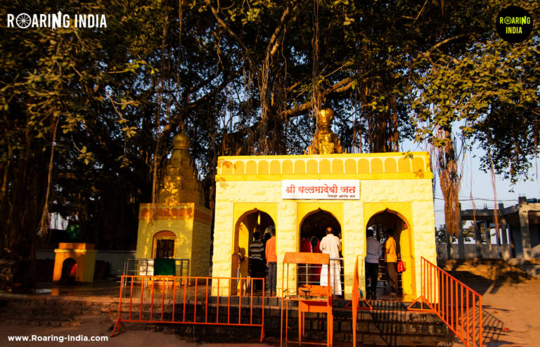 Jath Yallamma Devi Temple Jath