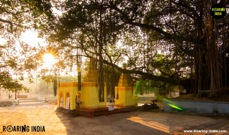 Sideview of Jath Yallamma Devi Temple Jath