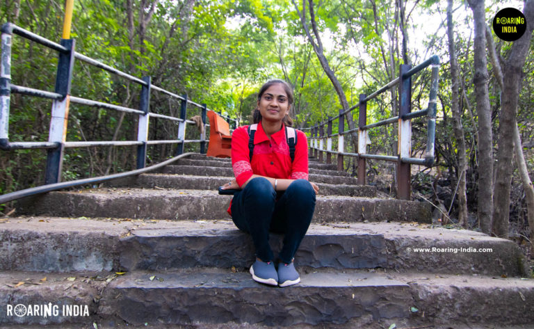 Way to Shri Kshetra Mallikarjun