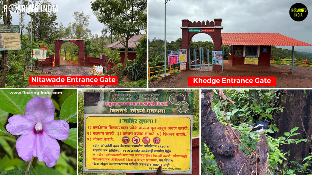 How to Reach Savatkada Waterfalls