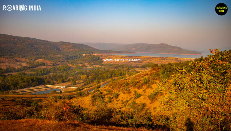 Beautiful View of Chandoli Dam