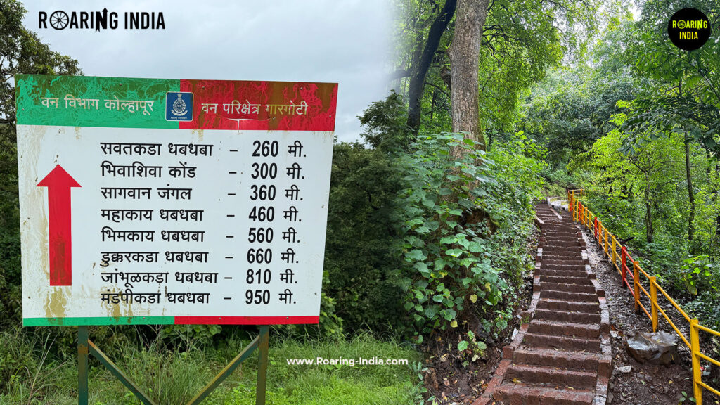 Great Work of The Forest Department of Kolhapur