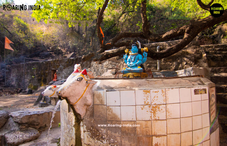 Gomukhi at Shukacharya Temple