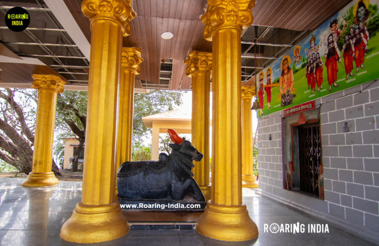 Nandi Idol of Chouranginath Temple, Sonsal