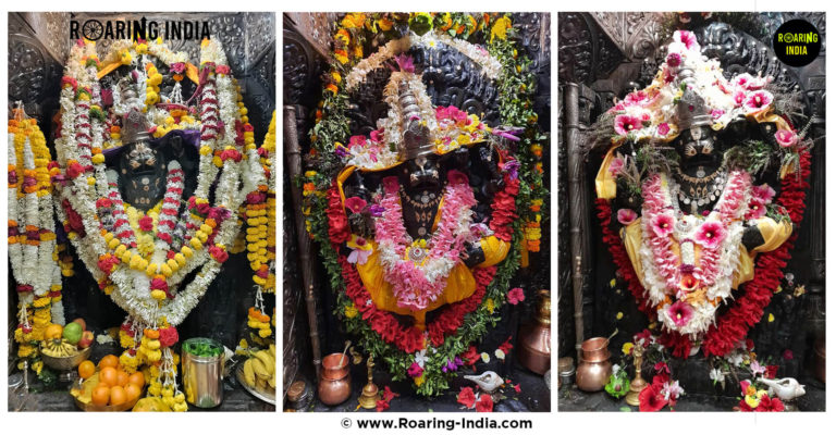 Special Pooja of Lord Shri Lakshmi Narasimha