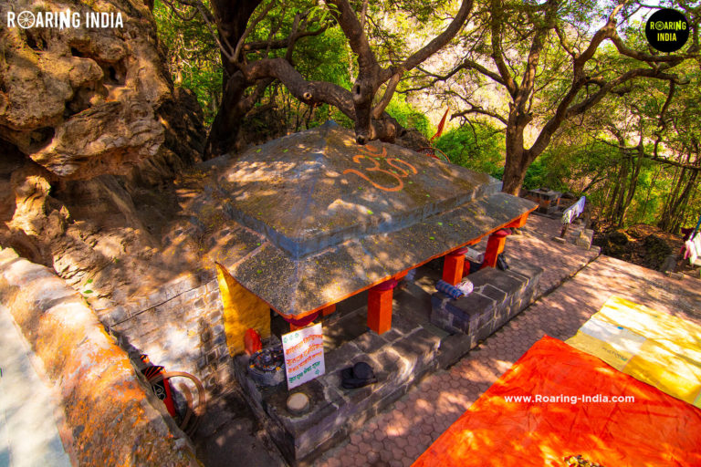 Top view of Shukacharya Temple
