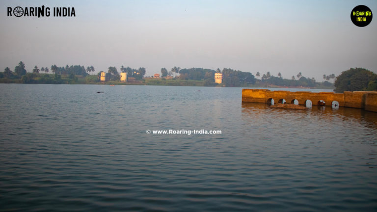Water Reservoir of Krishna River at Ramling Bet, Bahe