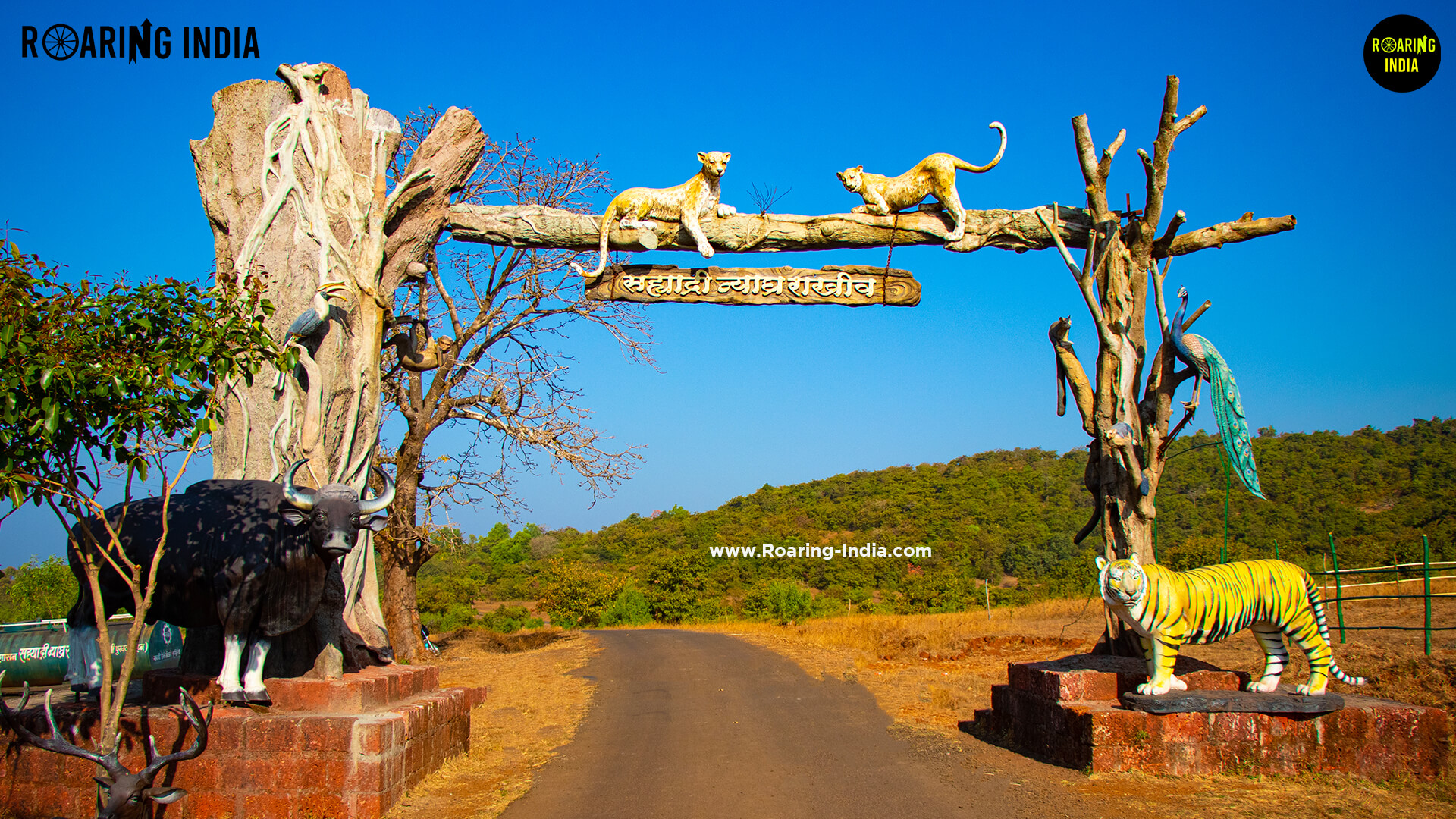 You are currently viewing Chandoli National Park, Warana Dam, Maharashtra