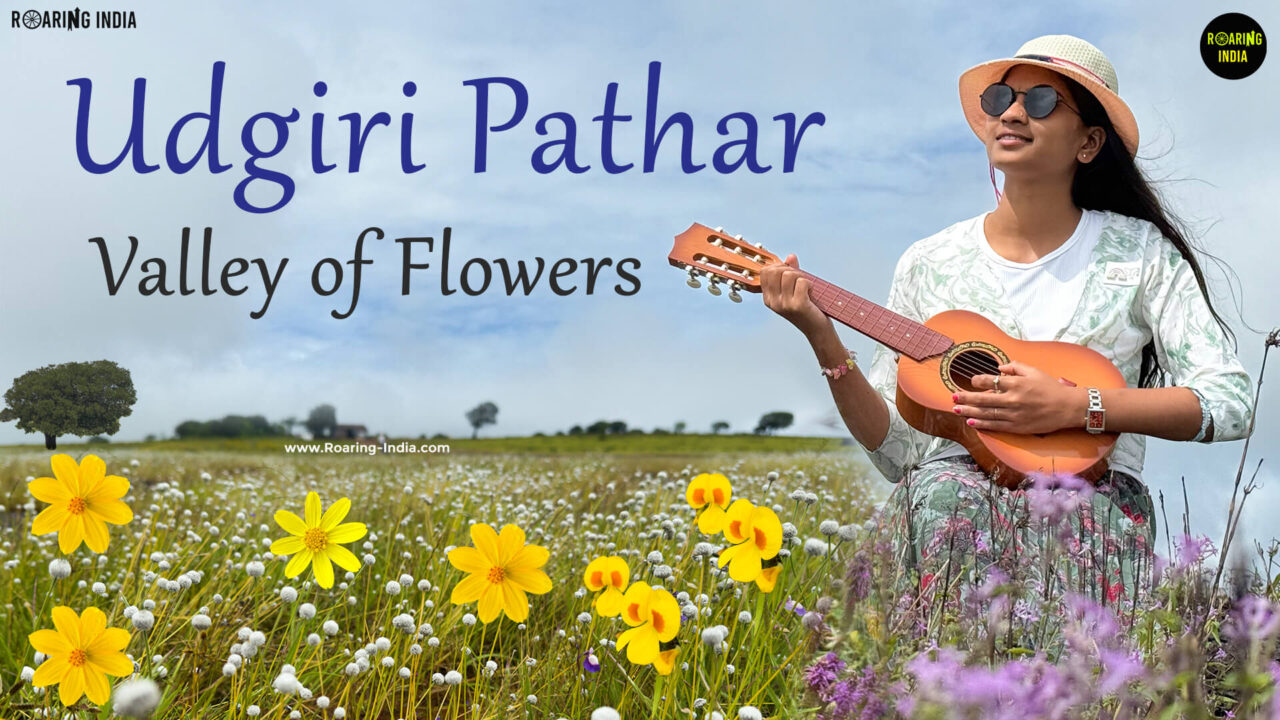Udgiri Pathar – Maharashtra’s Hidden Mini Kaas Plateau Near Chandoli National Park