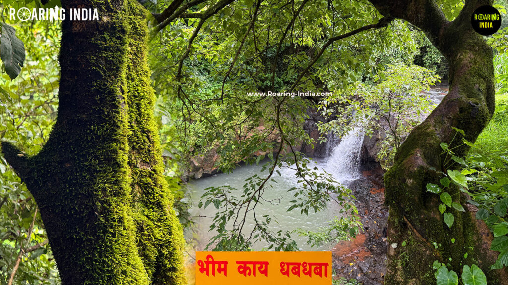 Bhimkaya Waterfalls