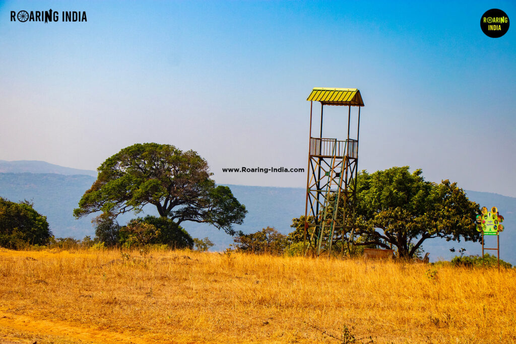 Wide View of Janicha Amba