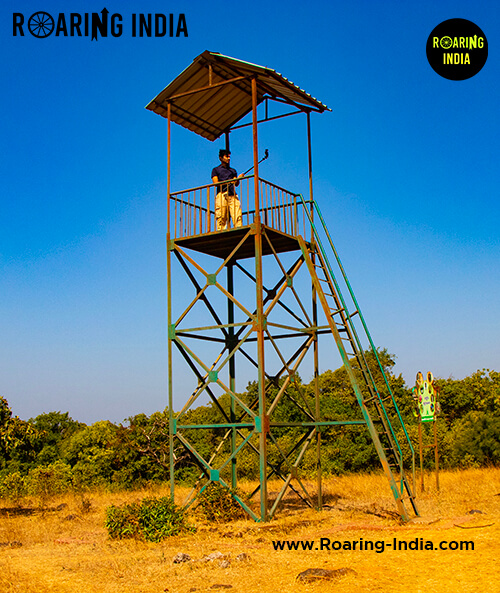 Watch Tower Near Janicha Amba