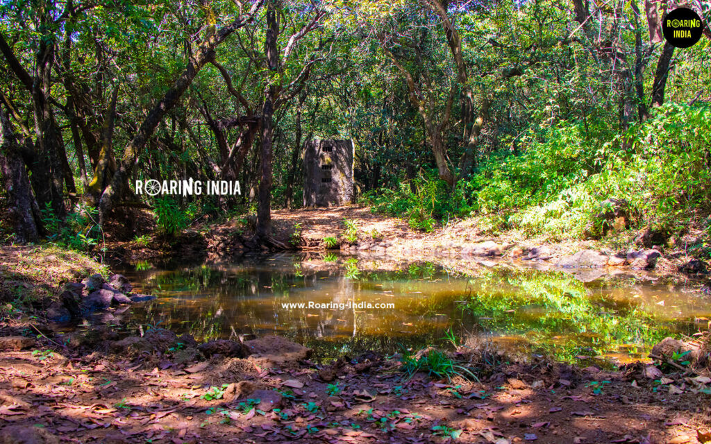 Laphan Ghar Chandoli National Park