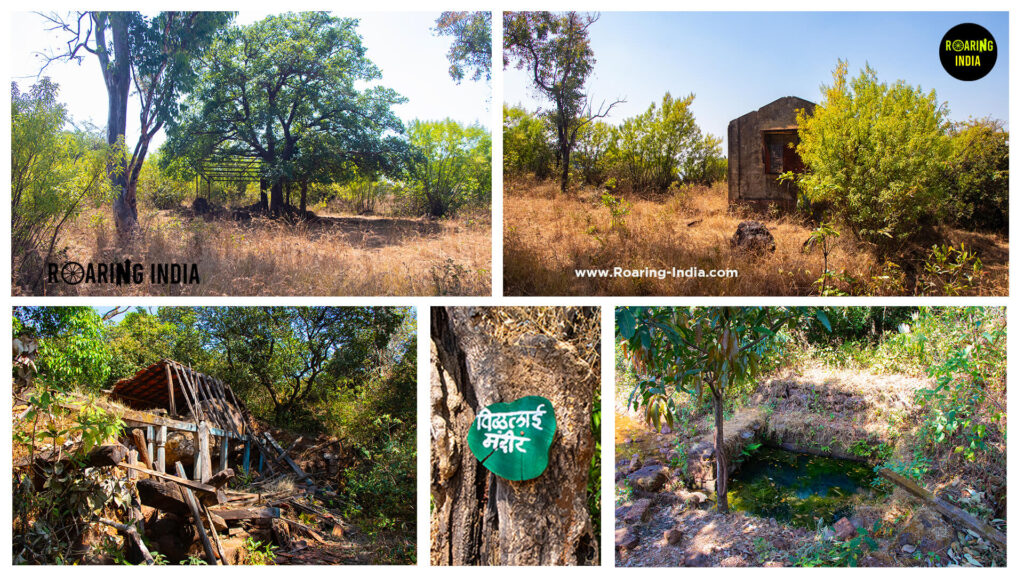 Remains of Zolambi Village