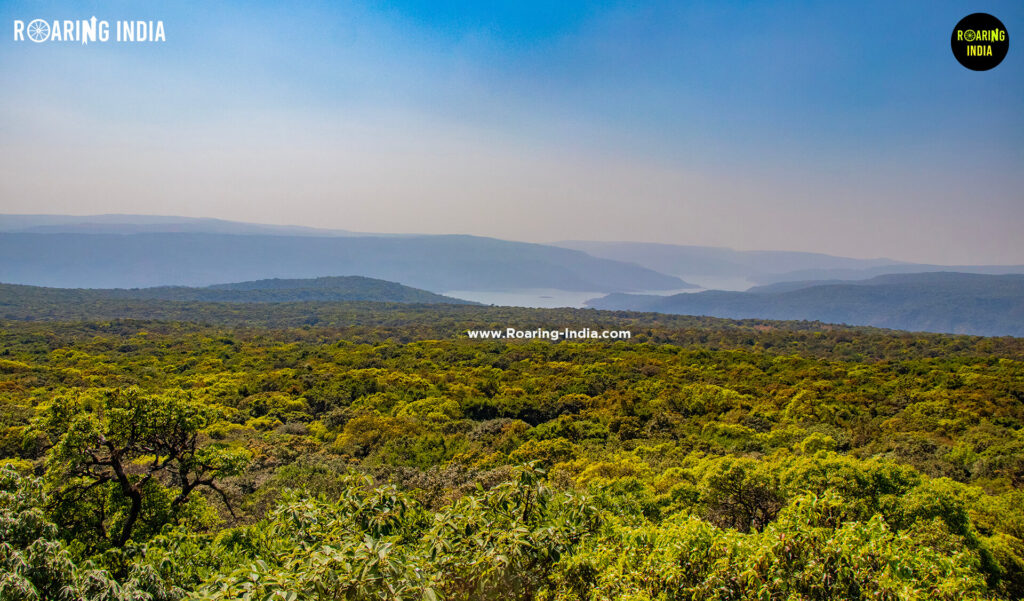 Beautiful View of Chandoli Forest from Zolmabi Sada