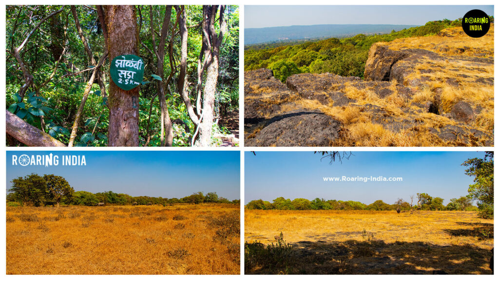 Zolmabi Sada of Chandoli National Park