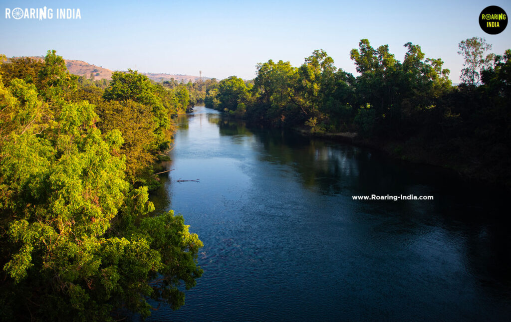 Warana River Flowing in Chandoli National Park