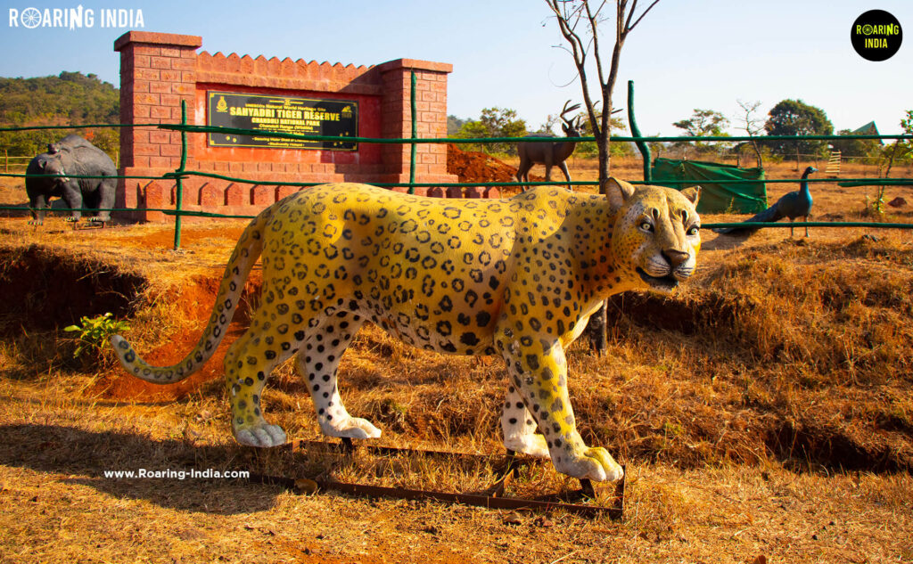 Entrance of of Chandoli National Park
