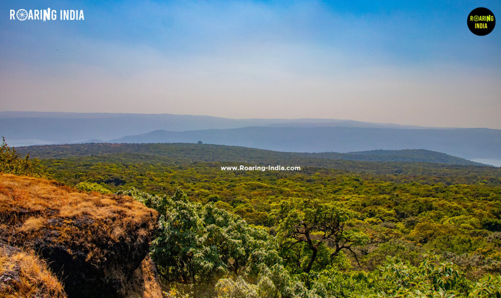 Chandoli Forest View From Zolambi Sada