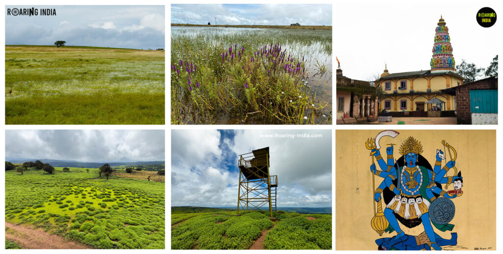 Udgiri Pathar – Maharashtra's Hidden Mini Kaas Plateau