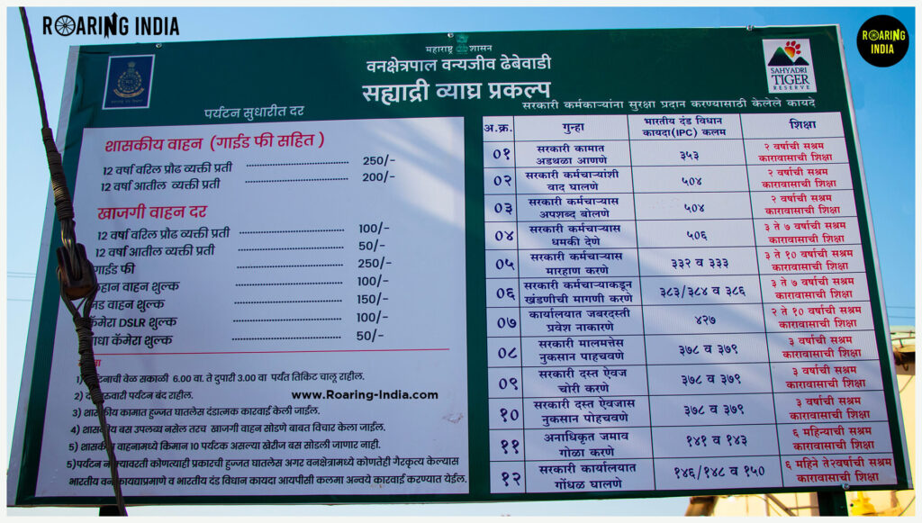 Jungle Safari Timings and Fees of The Chandoli National Park