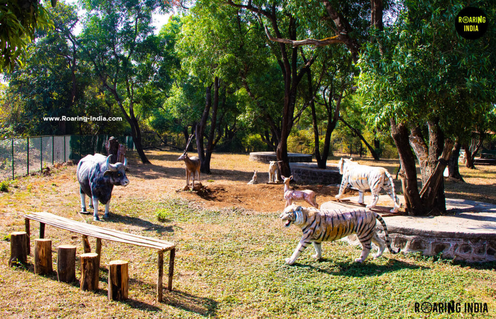 Best Time to Visit Chandoli National Park