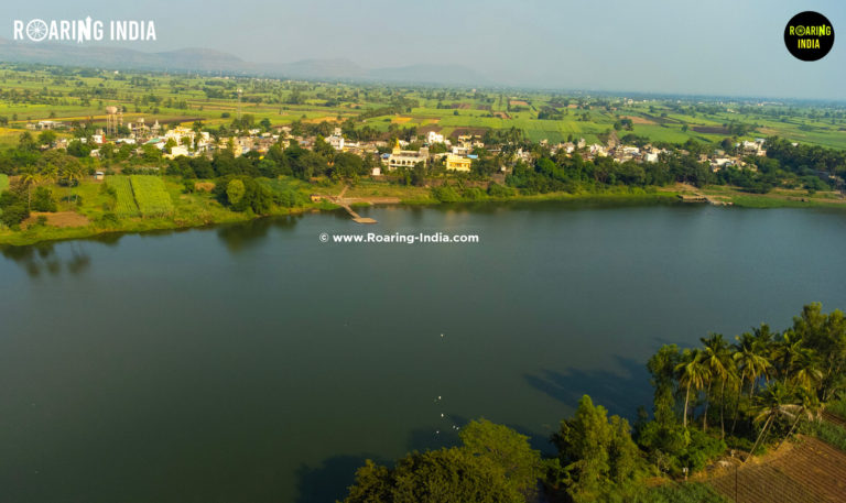Drone View of Shri Lakshmi Narasimha Temple, Kole Narsimhapur