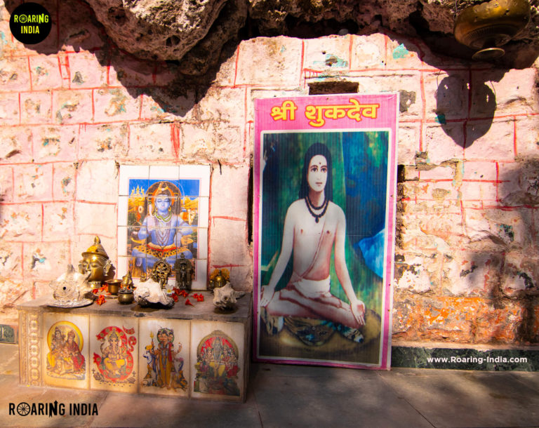 Shukacharya
