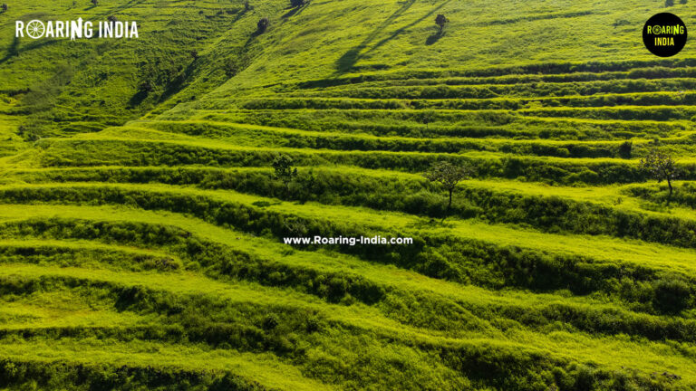 Steps Farming to Stop Soil Erosion