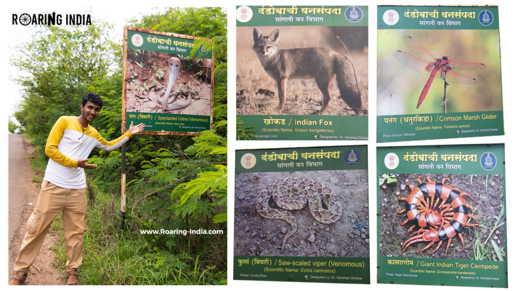 Wild Life of Dandoba Hills Forest Reserve